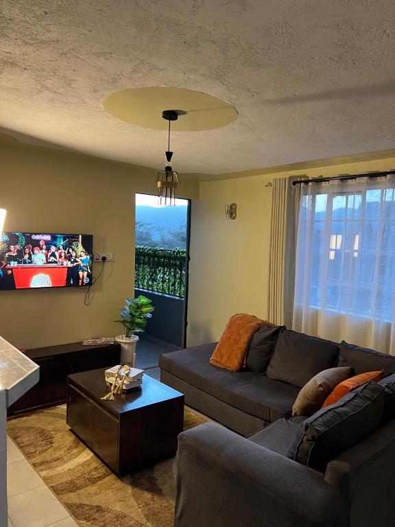 a living room with a couch and a tv at Noble Park Apartments in Kiserian