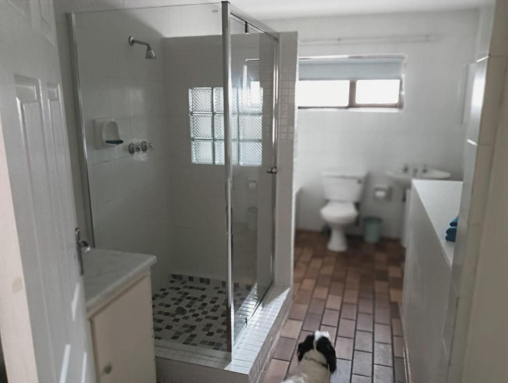 a bathroom with a shower and a dog laying on the floor at Pennington Holiday Cottages in Pennington