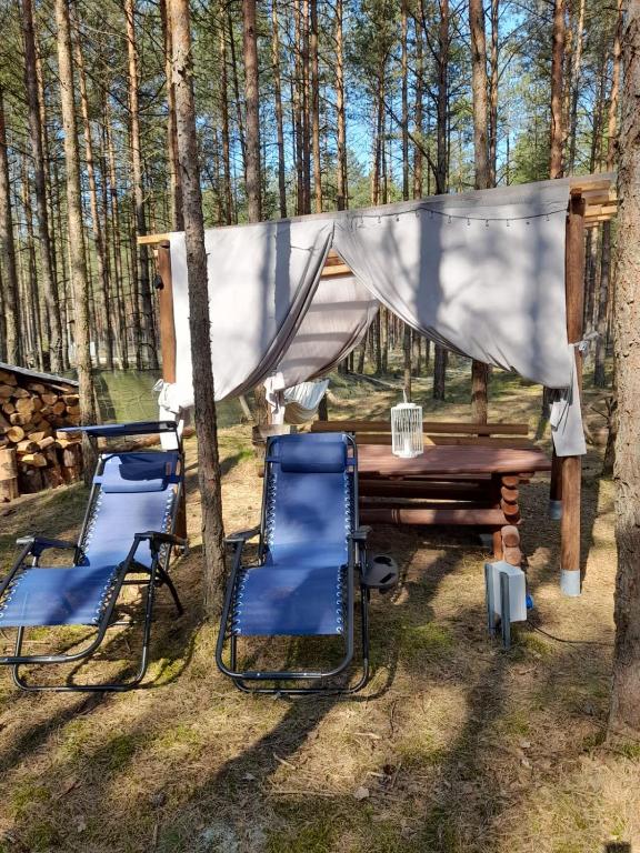 two chairs and a picnic table in the woods at Zew Natury in Broda