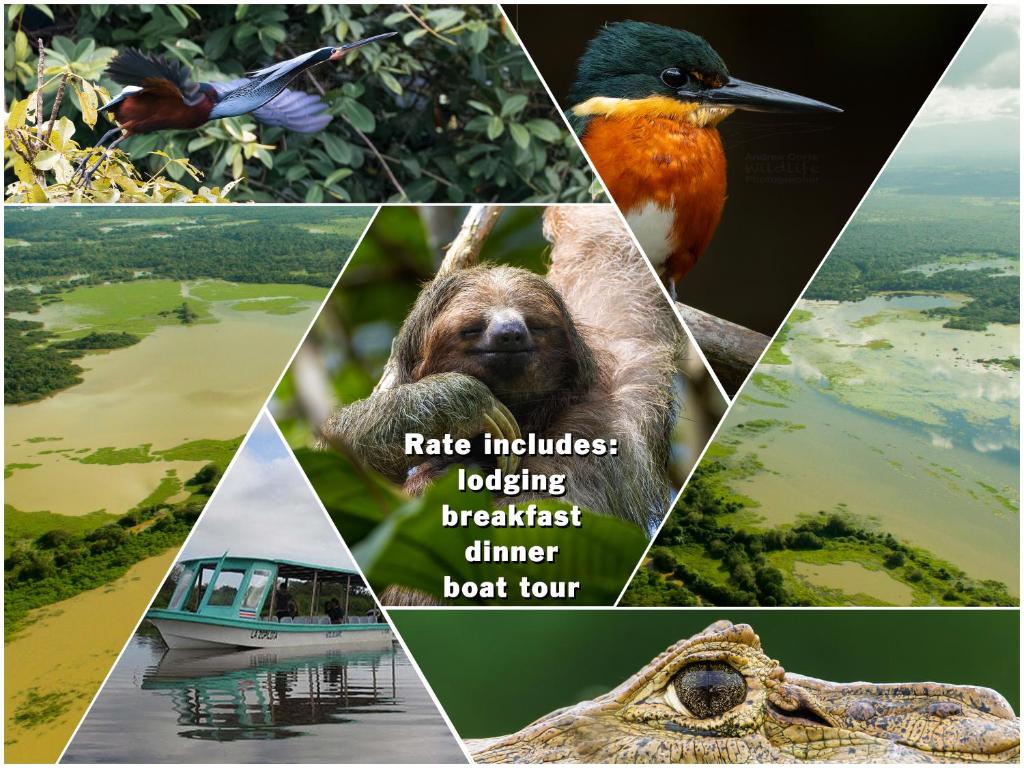 a collage of pictures with a bird a bear and a boat at Hotel de Campo Caño Negro in Caño Negro