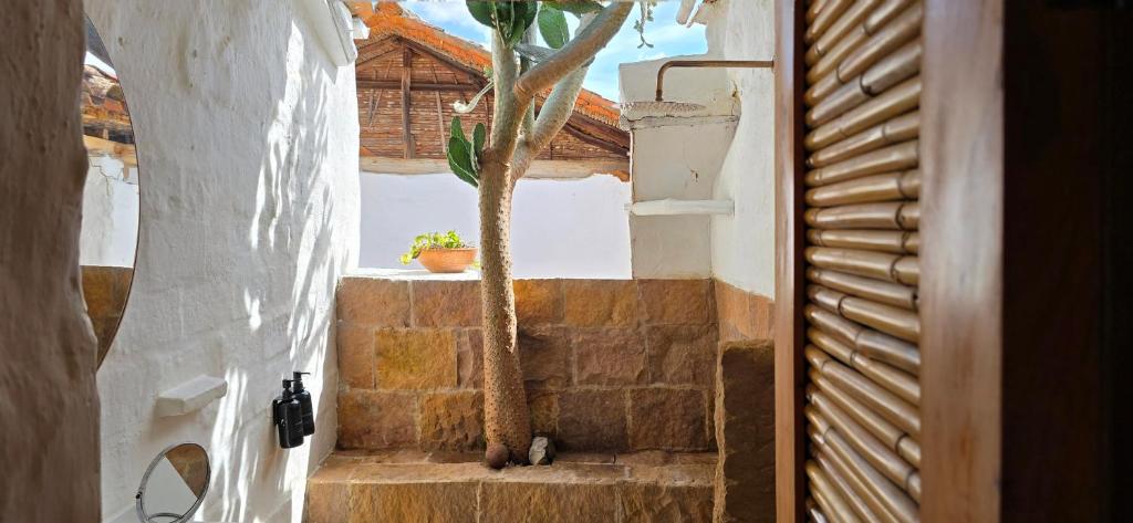 Lolo Loft Suite, Peaceful Location with Open View