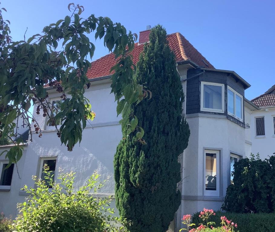 a white house with a large tree at Ferienwohnung Pauline in Plön