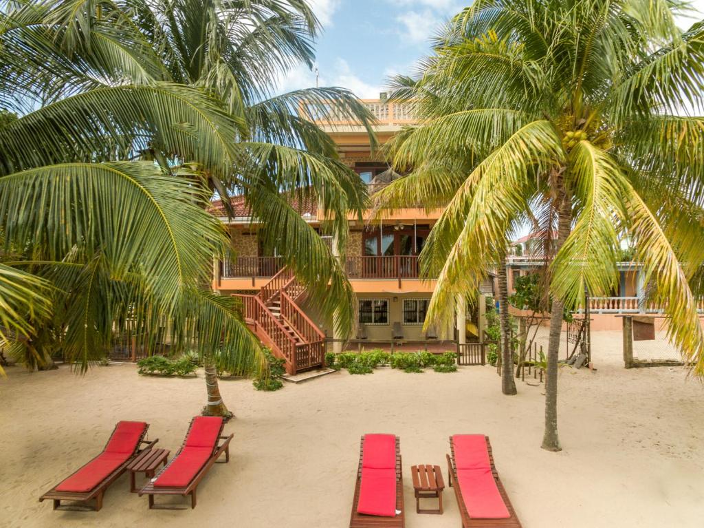 ein Hotel am Strand mit Liegestühlen und Palmen in der Unterkunft Buttonwood Belize in Hopkins