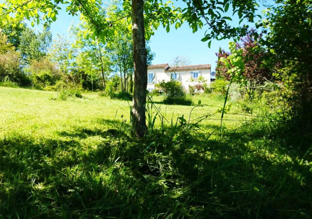 a tree in a field with a house in the background at Le Jardin d'Anna in Saint-Eutrope-de-Born