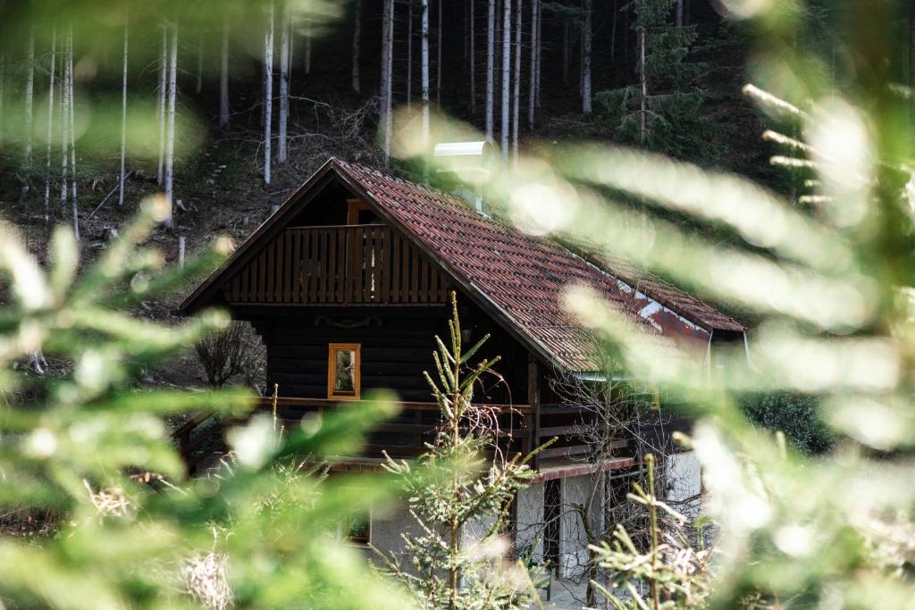 a log cabin in the woods with trees at Marjetina gozdna hiška in Gager