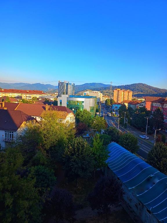 an overhead view of a city with buildings and trees at Studio Miruna in Piatra Neamţ