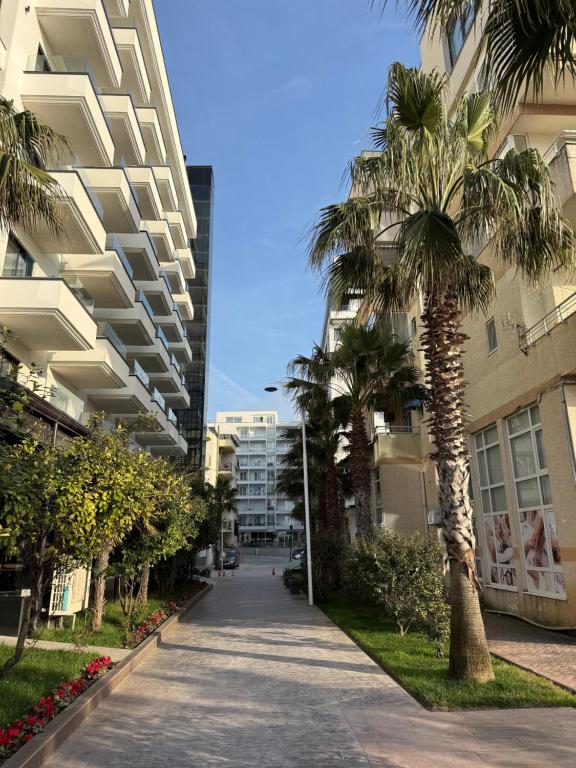 a palm tree on a sidewalk next to a building at Palm Paradise Apartaments in Golem