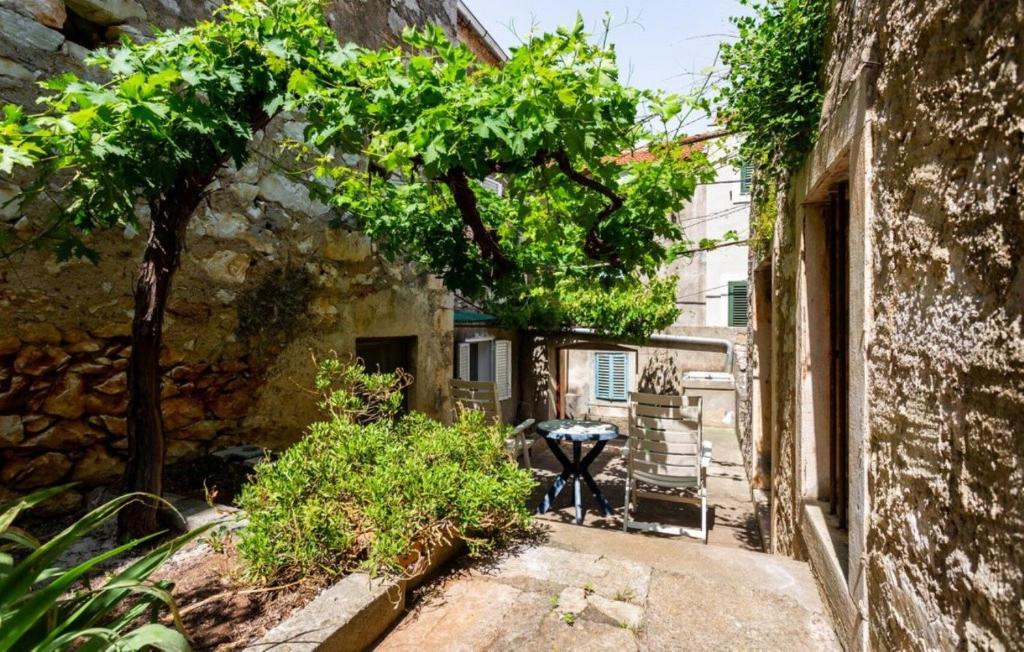 an alley in an old building with a tree at House Veli Iz oldtown in Veli Iž