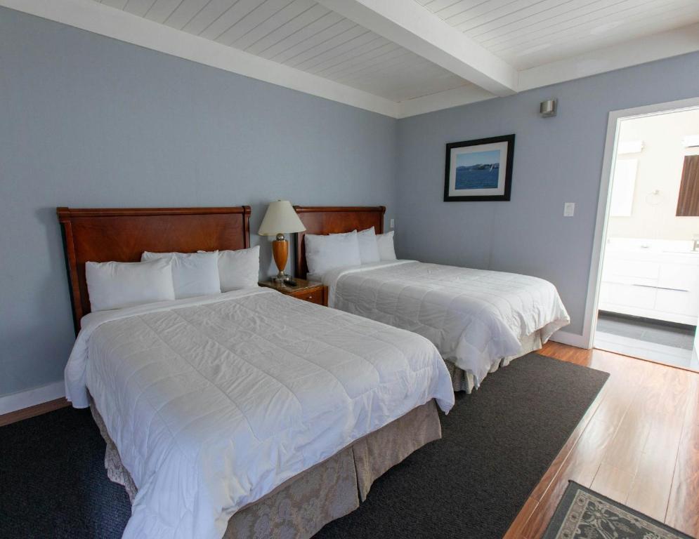 two beds in a bedroom with blue walls at Pacific Heights Inn in San Francisco