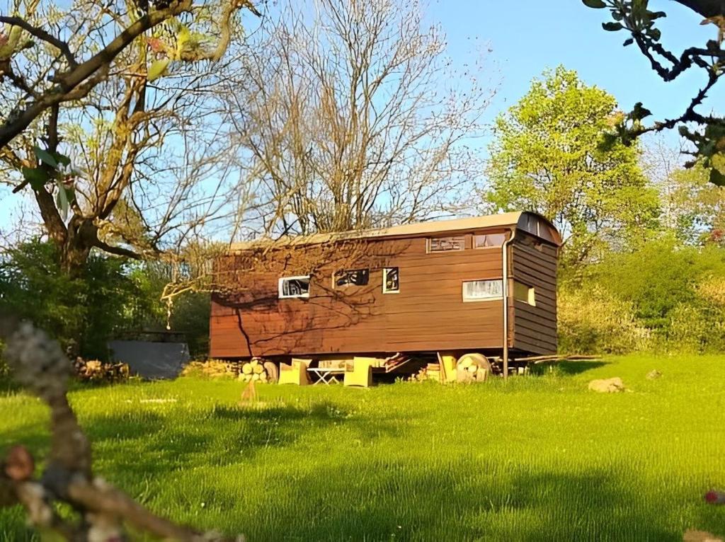 a large wooden cabin in a field with green grass at Tiny house Suria - Český ráj in Prackov