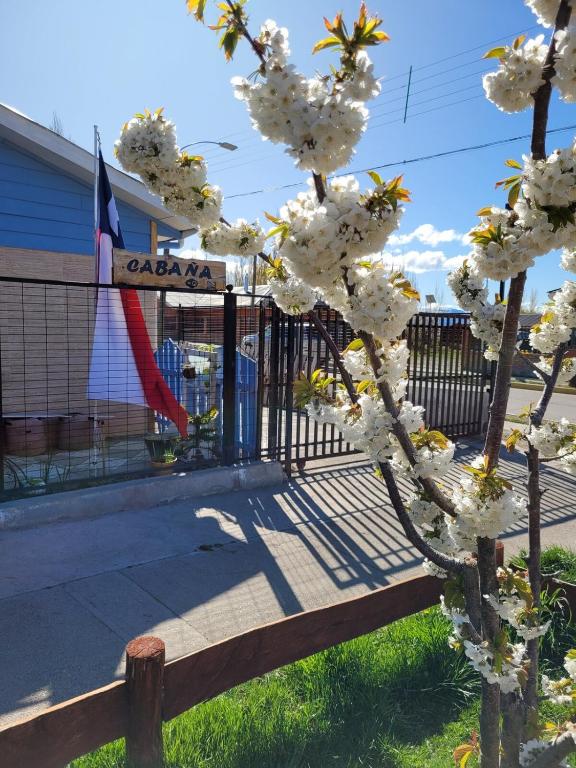 CABAÑAS RINCON SOLEADO, Chile Chico