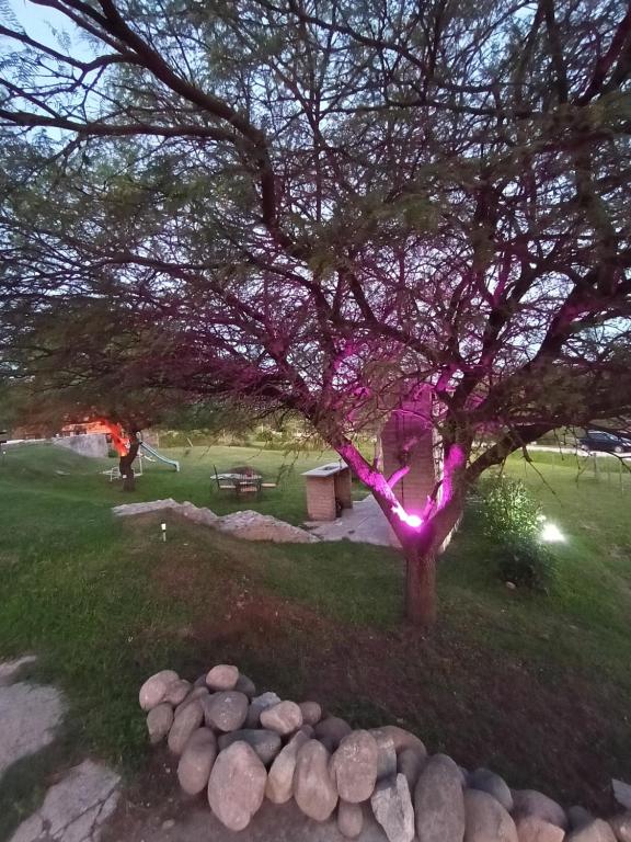 Amaneceres de San Isidro