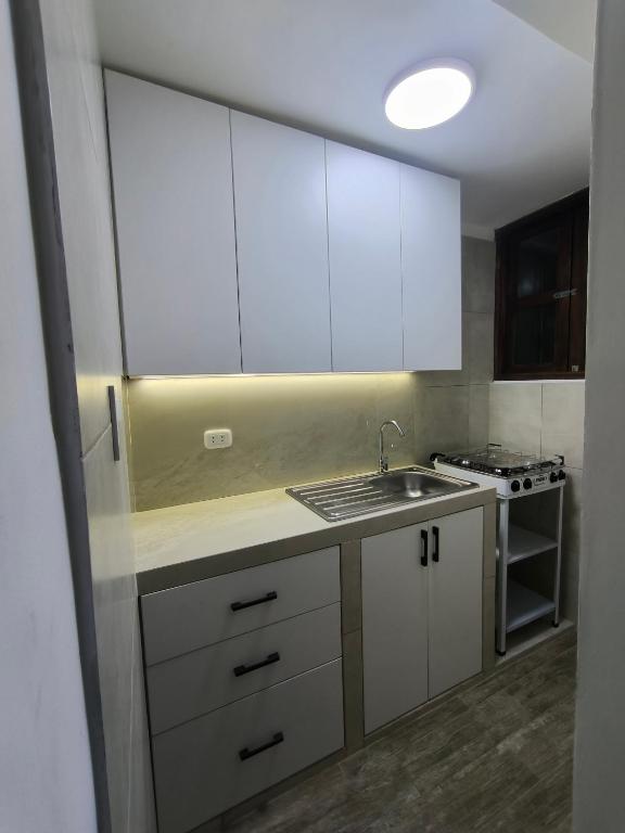 Lince Céntrico Modern, Bright and Beautiful