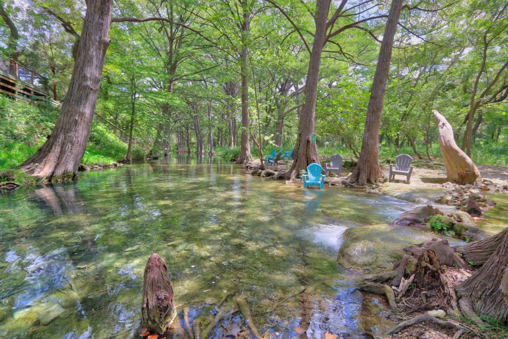 a painting of a stream in a park with trees at Creekside Cabins - The Texan in Wimberley