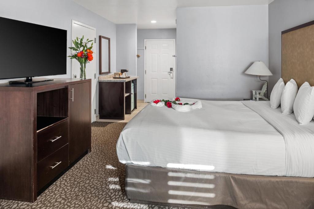 Morro Shores Inn And Suites - Camera King Standard