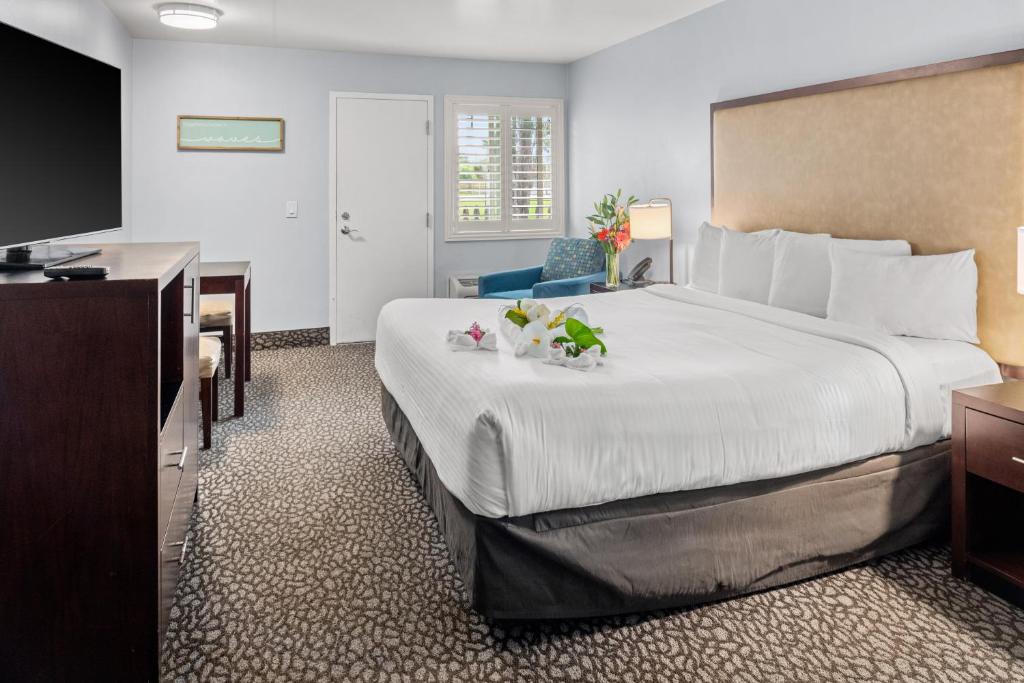 Morro Shores Inn And Suites - Housity