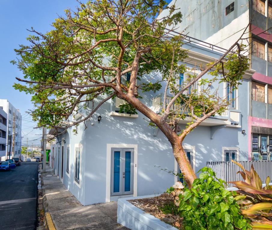 a white building with a tree in front of it at Casa Pelayo in San Juan