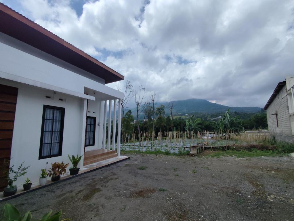 a white house with a view of a mountain at Griya Alborz Dieng in Garung