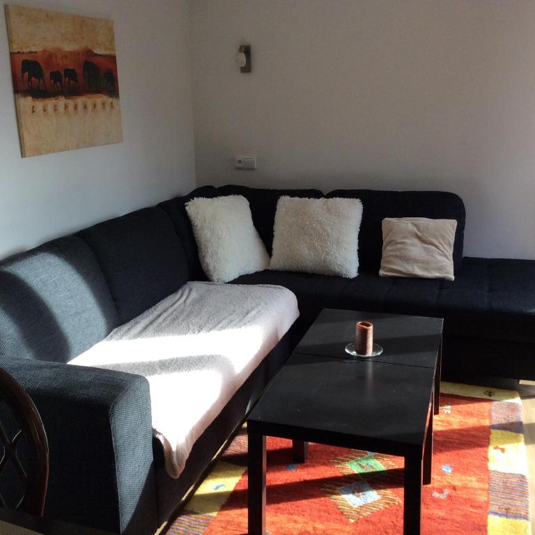 a living room with a black couch and a table at Apartment Garden in České Budějovice
