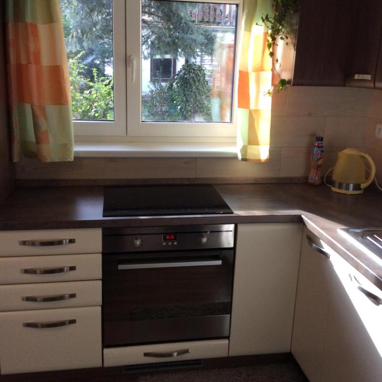 a kitchen with a stove and two windows at Apartment Garden in České Budějovice
