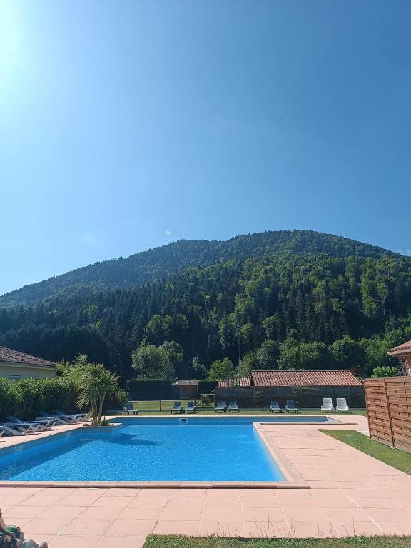 a swimming pool with a mountain in the background at La Taillade de Montségur location de Chalets en bois in Fougax-et-Barrineuf