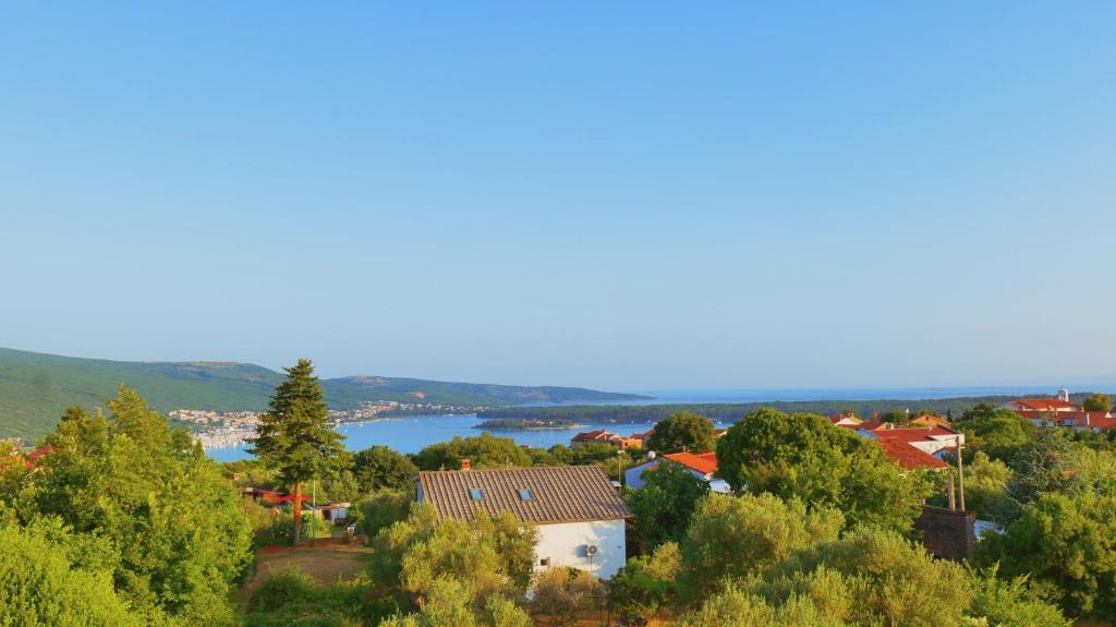 arial view of a town with a lake and buildings at Holiday house VILLA PATRICK with pool, jacuzzi and sauna in Kornić