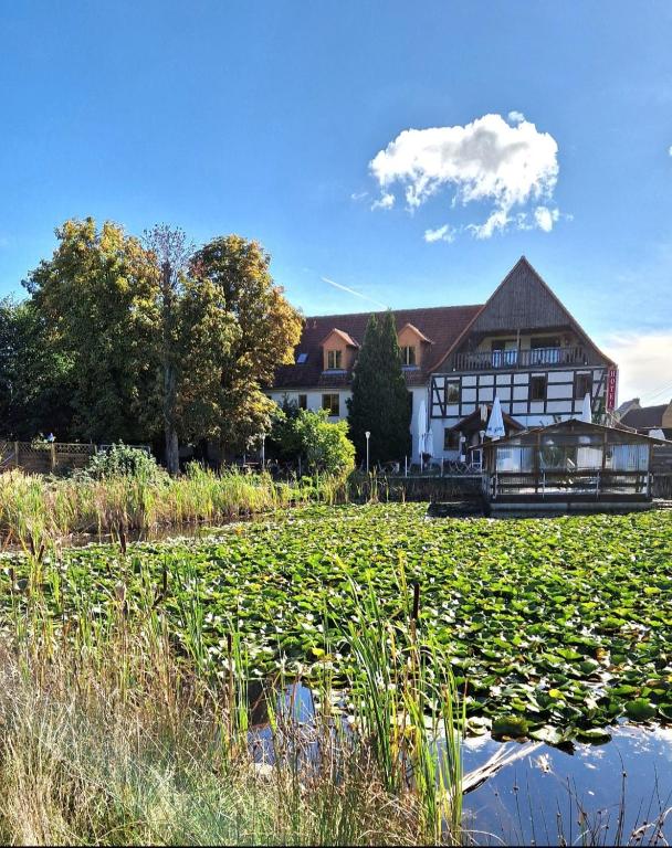 Hotel Gröbern am See
