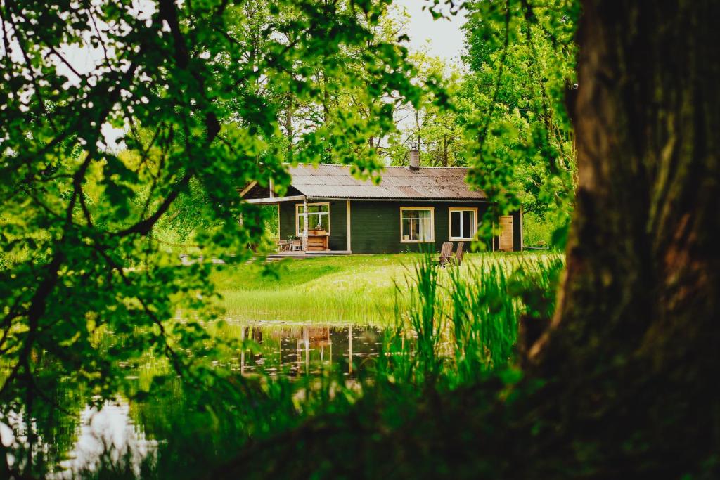 a small green house in the middle of a field at PLŪSME Restart House in Lielstraupe
