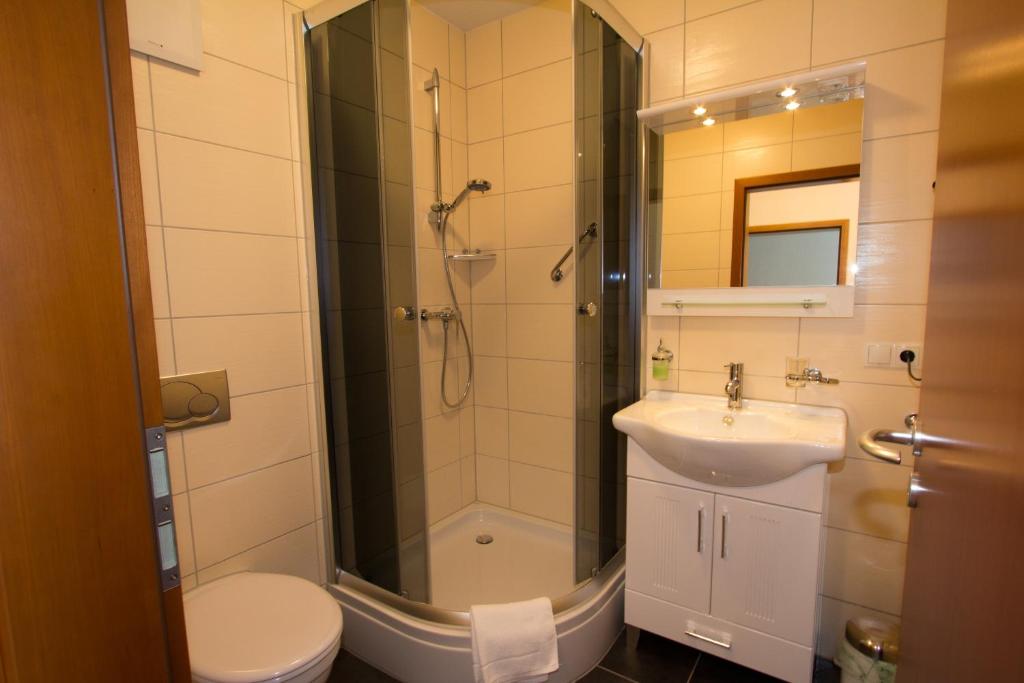 Hotel Rhein-Mosel-View - Single Room