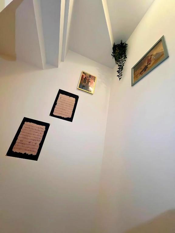 nabi house