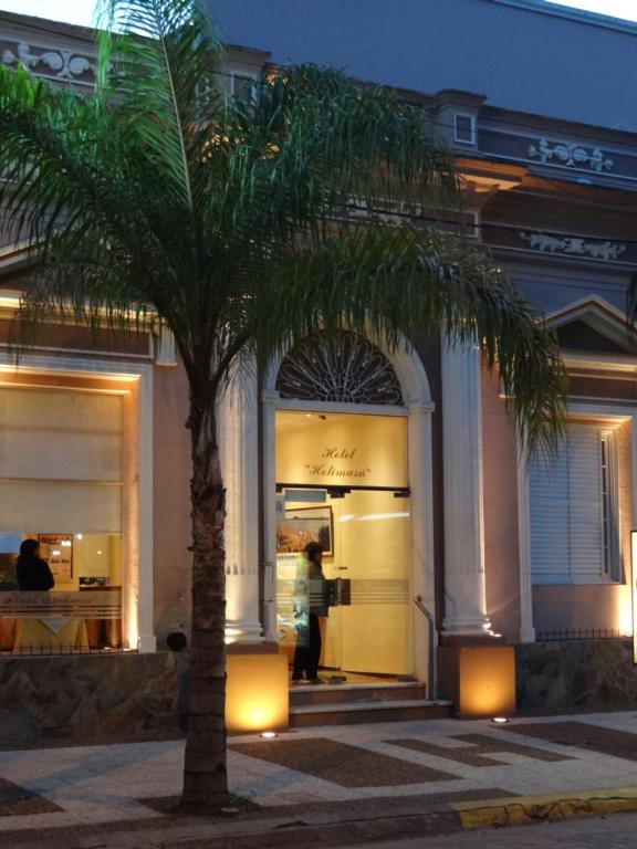 a palm tree in front of a store at Hotel Holimasú in Colón