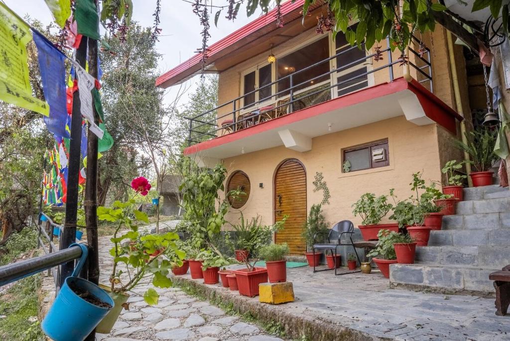 a house with a bunch of potted plants in front of it at Mud House Entire Cottage in Dharmsāla