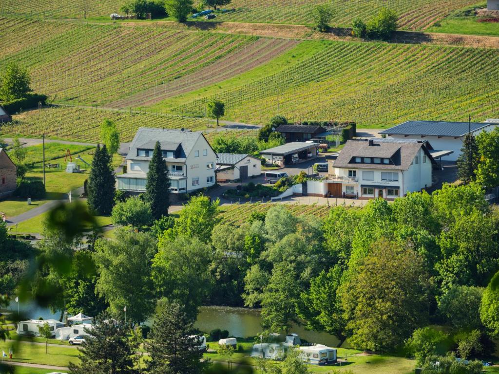 an aerial view of a small town with houses and a river at Ferienweingut-Liebfried in Nehren