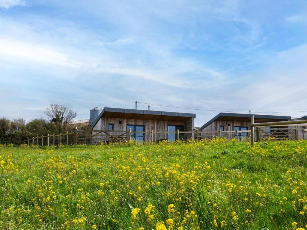 a field of yellow flowers in front of a building at 1 Bed in Bude oc-88497 in Morwenstow