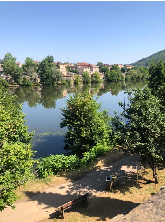 a view of a lake with trees and buildings at chambre O'nids in Cahors