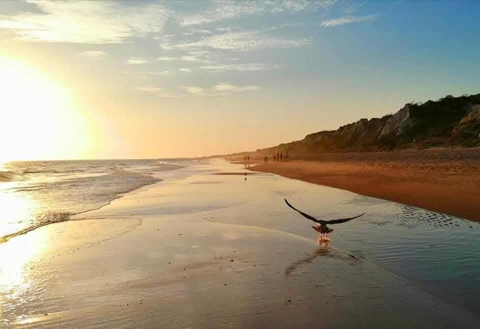 a person with their wings spread on a beach at Apartamento Amy 4 in Huelva