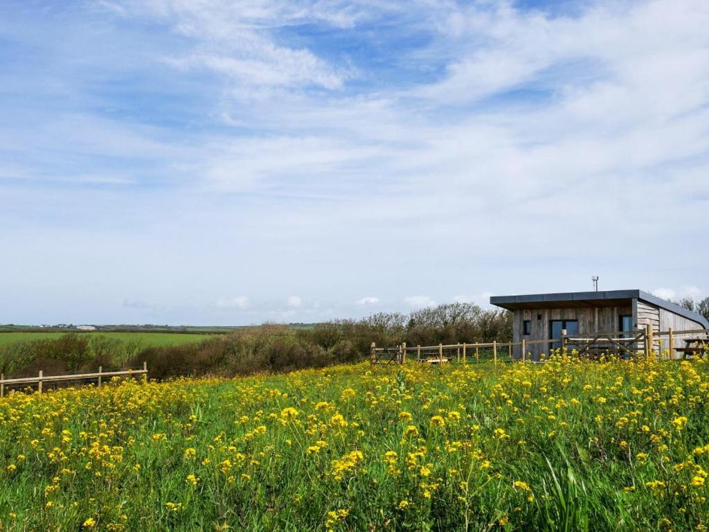 a field of yellow flowers in front of a building at 1 Bed in Bude oc-88499 in Morwenstow
