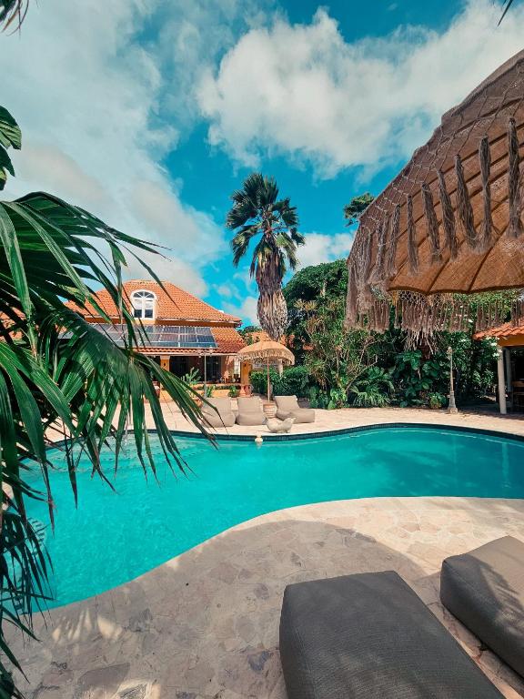 a swimming pool in front of a house at Coconuts Tropical Boutique Hotel Curaçao in Willemstad
