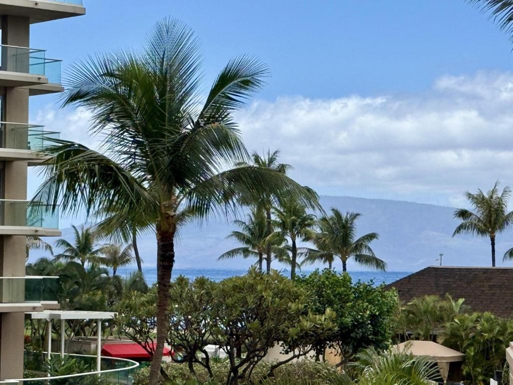 a palm tree in front of a building at Honua Kai Konea 204 in Lahaina