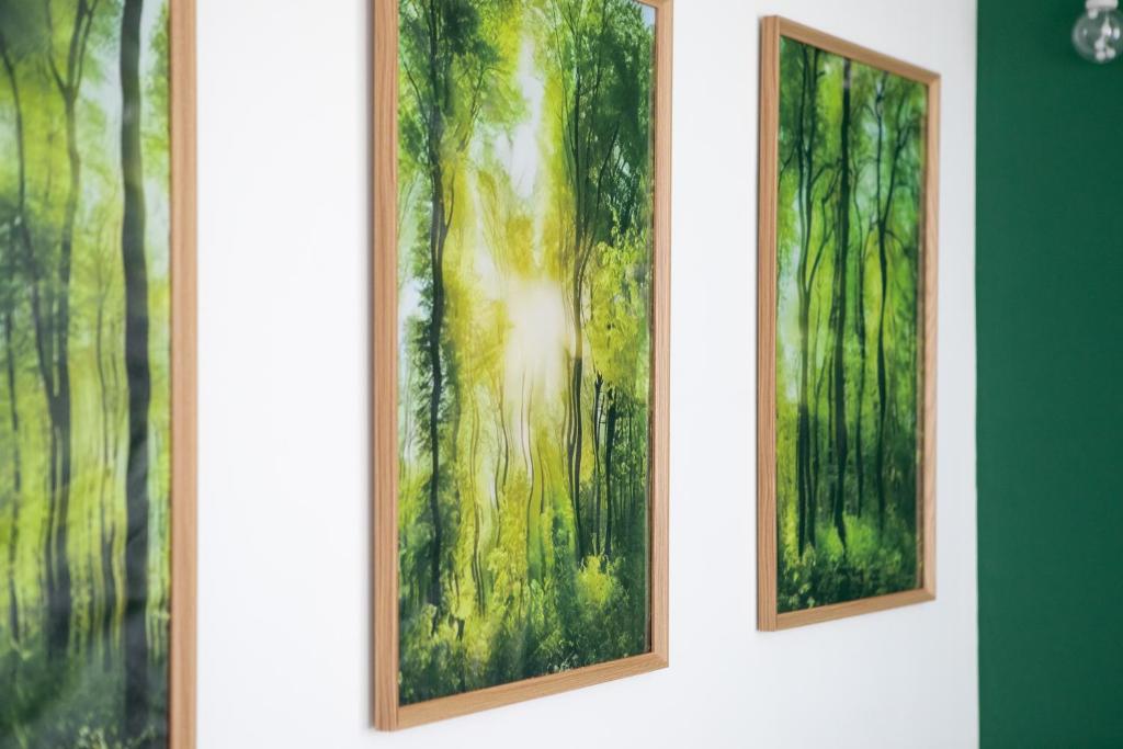 Magic Forest - Peaceful, Comfortable & Bright – photo 14