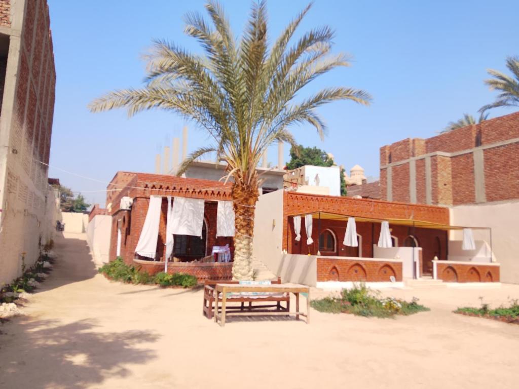 a palm tree next to a building with a bench at Nur al Nil Garden House in Luxor