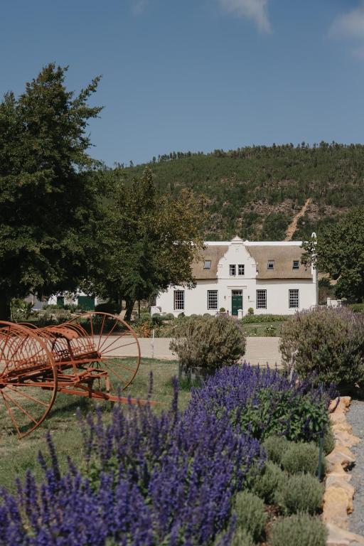 a garden with purple flowers in front of a white house at Rickety Bridge Estate in Franschhoek
