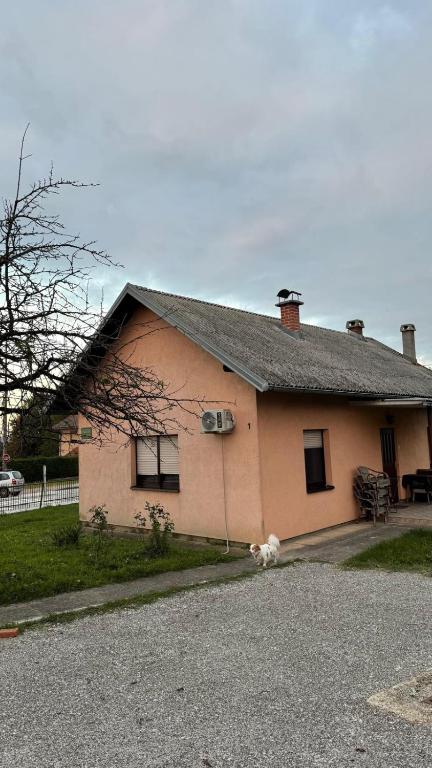 a house with a dog sitting in front of it at Magnolia guest house in Karlovac