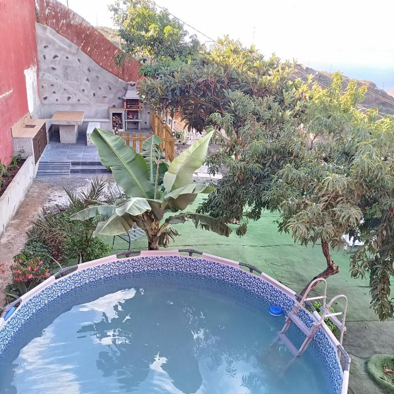 a swimming pool in a yard with trees at Chalet Ruta El Saucillo in Gáldar
