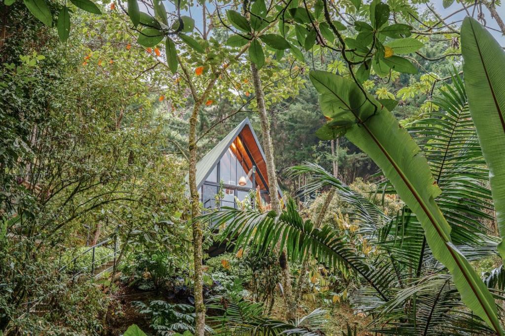 a glass house in the middle of a forest at Glamping en El Retiro in El Retiro