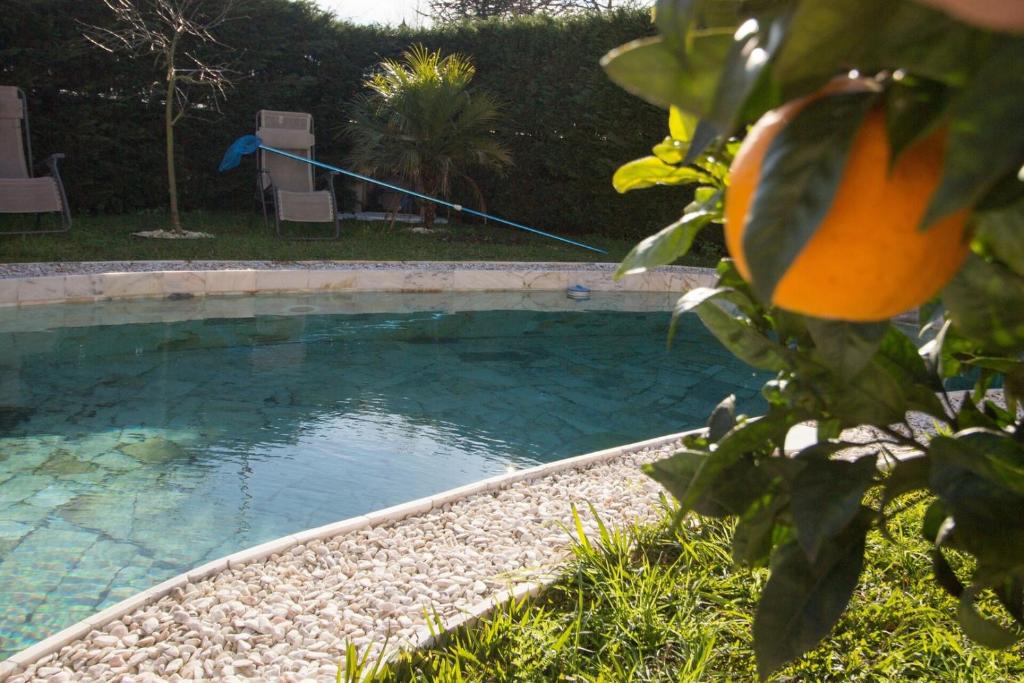a swimming pool with an orange in a yard at Guest H4U Villa Garden & Pool in Póvoa de Varzim