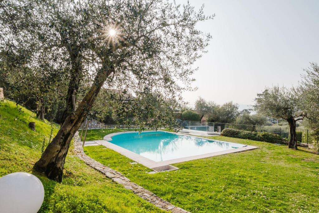 a swimming pool in a yard with a tree at Villetta Le Scaje in Torri del Benaco