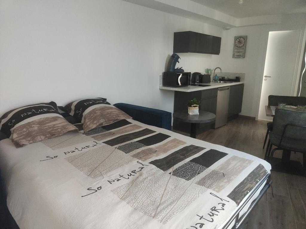 a bedroom with a large bed in a room at Chez Olga studio indépendant in Giberville