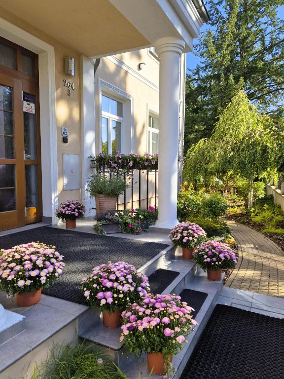 a porch with potted flowers on the steps of a house at Villa Walir - Spa Hotel Garni SUPERIOR in Mariánské Lázně