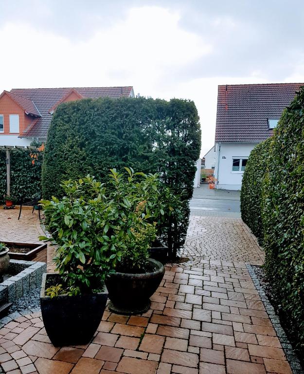 a group of plants in pots on a brick sidewalk at Appartement am Goldsteinpark in Bad Nauheim